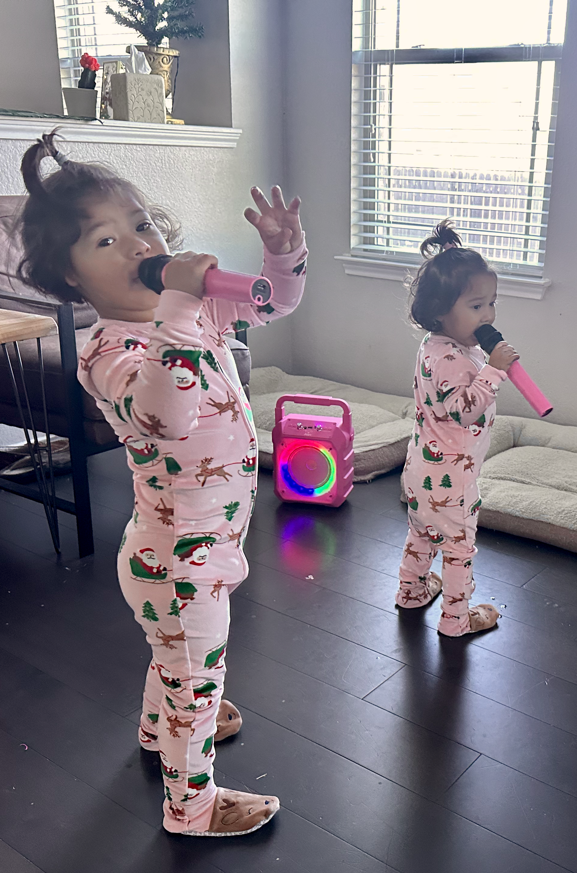 Nellie and her sister singing karaoke together